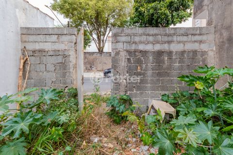 Image 8 - 896608