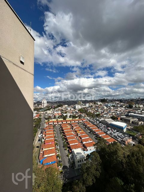 Image 17 - 896632