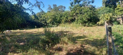 Image 4 - 896799