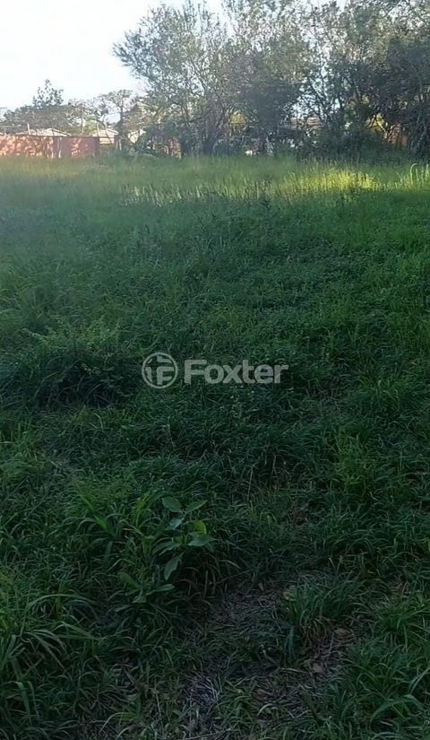 Image 5 - 896800