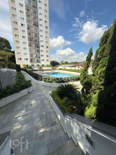 Image 10 - 896816