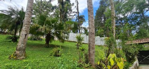 Image 3 - 896844