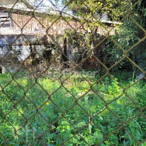 Image 4 - 896955