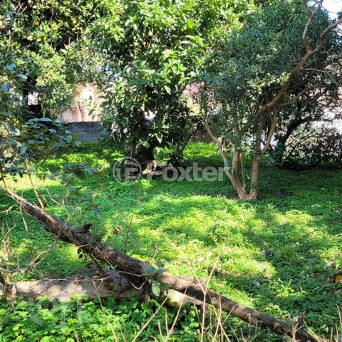 Image 2 - 896955