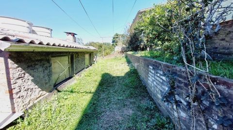 Image 17 - 896982