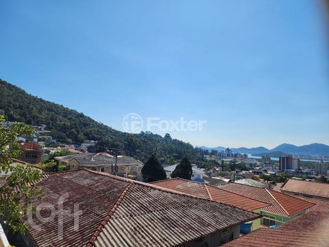 Image 4 - 897264