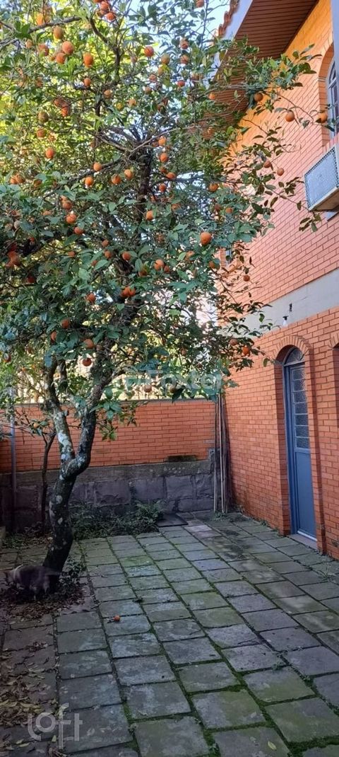 Image 8 - 897550
