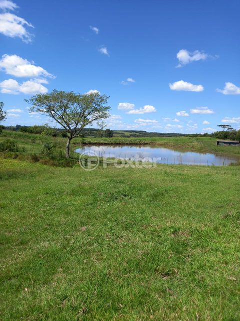 Image 5 - 897779