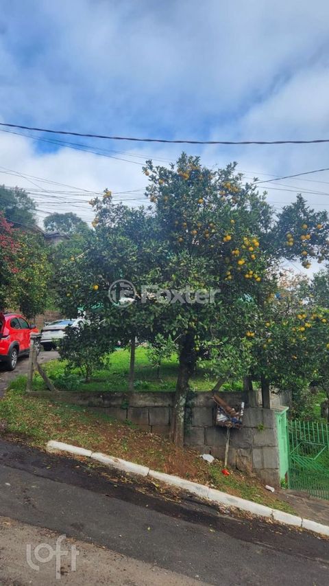 Image 6 - 897911