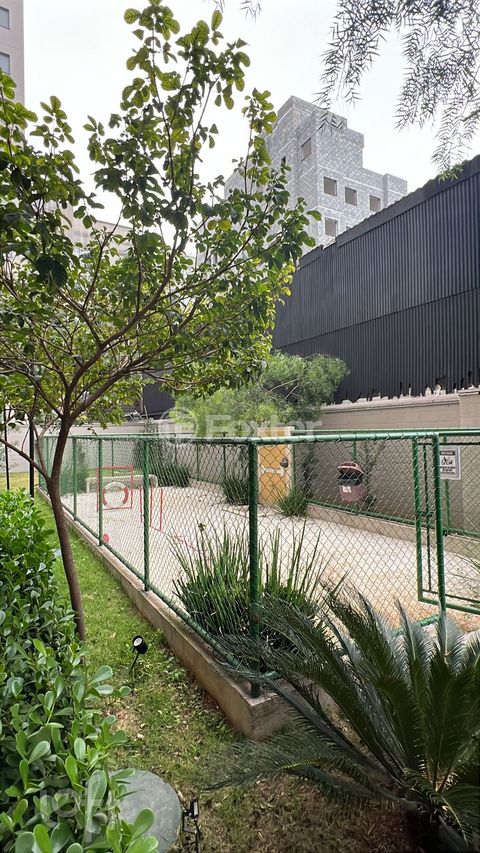 Image 10 - 898274