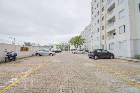 Image 17 - 898538