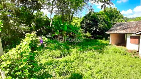 Image 9 - 898711