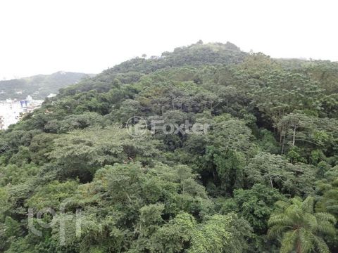 Image 16 - 899615