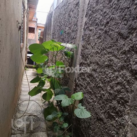Image 16 - 900166