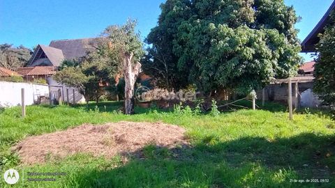 Image 4 - 900239