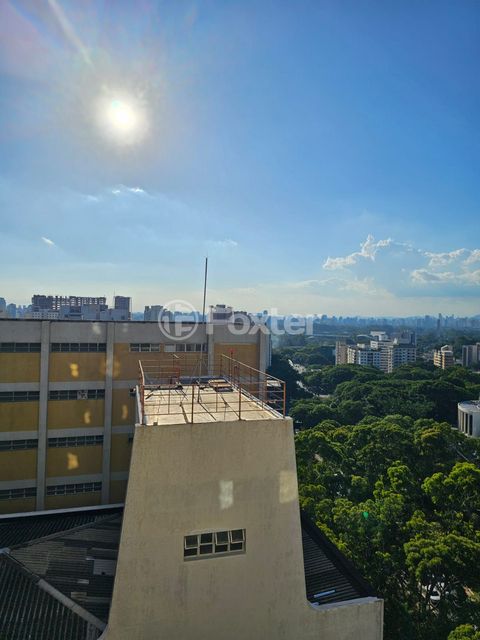 Image 11 - 900256