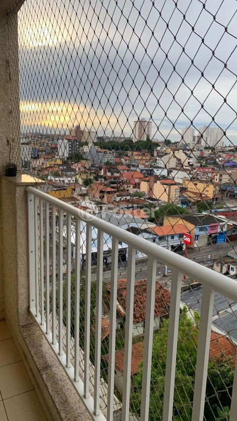 Image 11 - 900374