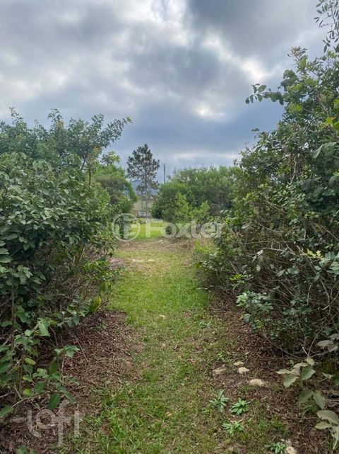 Image 4 - 900382