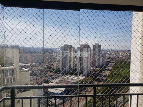 Image 9 - 900512