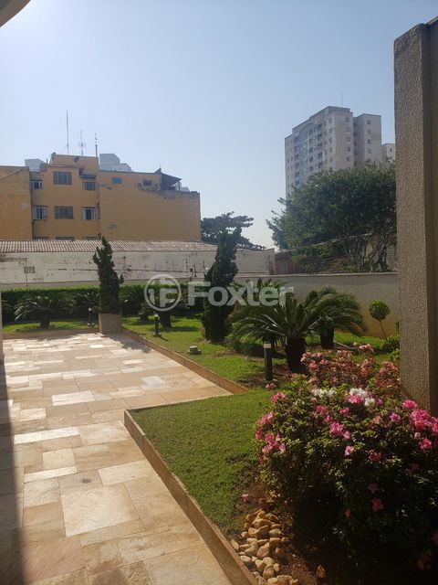 Image 12 - 900512