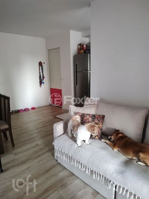 Image 11 - 900565
