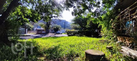 Image 6 - 904564