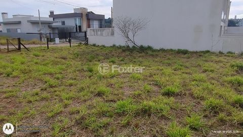 Image 9 - 905881