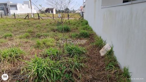 Image 8 - 905881