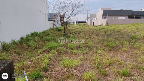 Image 4 - 905881