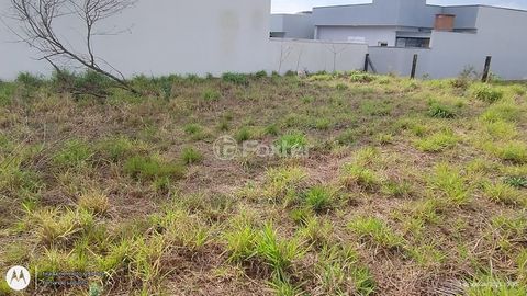 Image 5 - 905881