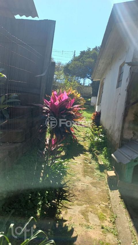Image 7 - 912987