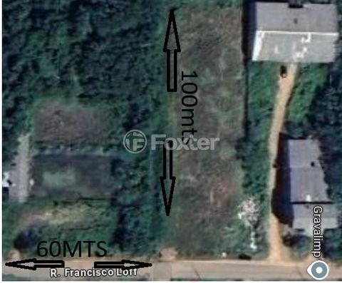 Image 6 - 915004