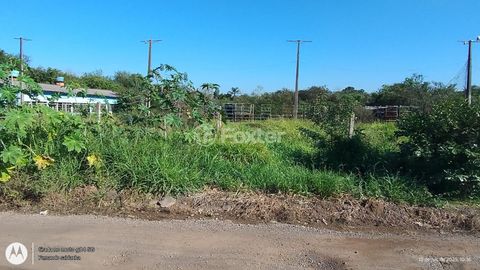 Image 4 - 915004