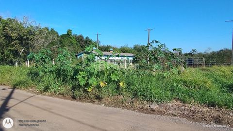 Image 7 - 915006