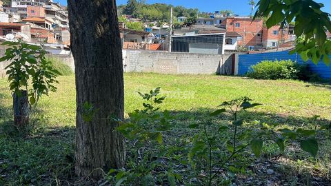 Image 5 - 915104