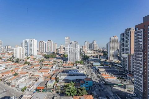 Image 18 - 915313