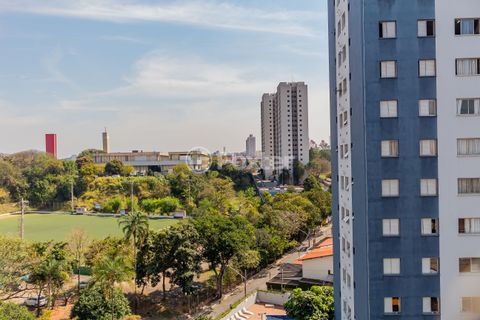 Image 14 - 915388