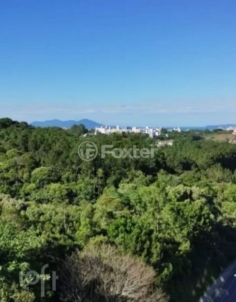 Image 7 - 915402