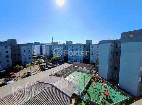 Image 9 - 915546