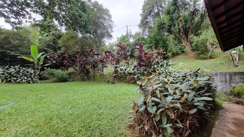 Image 3 - 915556