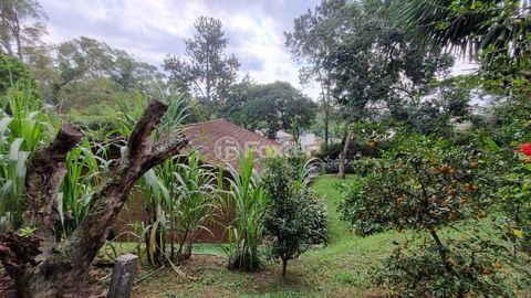 Image 3 - 915556
