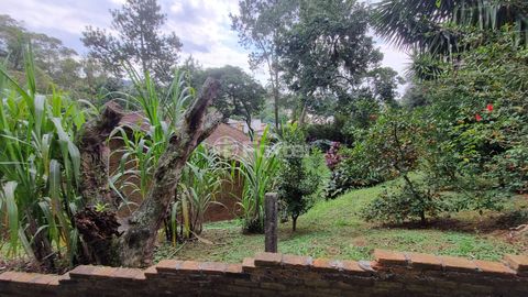 Image 4 - 915556