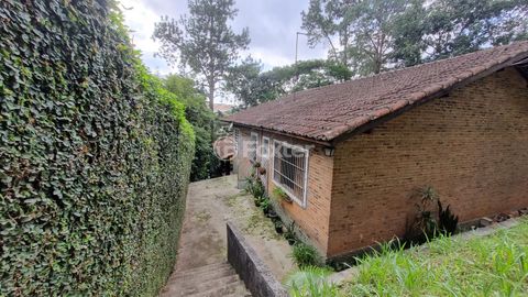 Image 5 - 915556