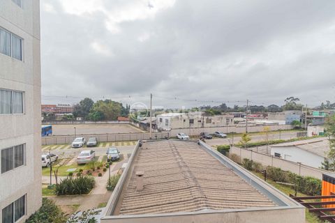 Image 4 - 915645