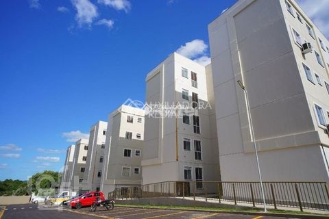 Image 9 - 915655