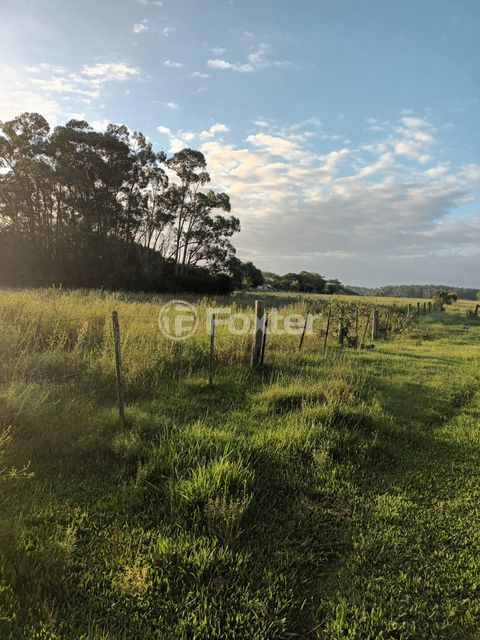 Image 10 - 915781