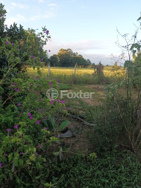 Image 11 - 915781