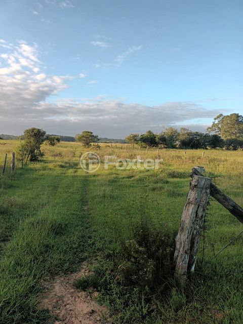 Image 12 - 915781