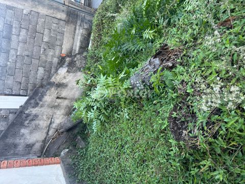 Image 7 - 915820