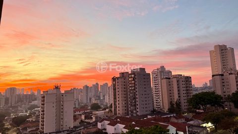 Image 2 - 915834